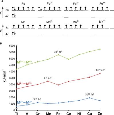 Why is manganese so valuable to bacterial pathogens?